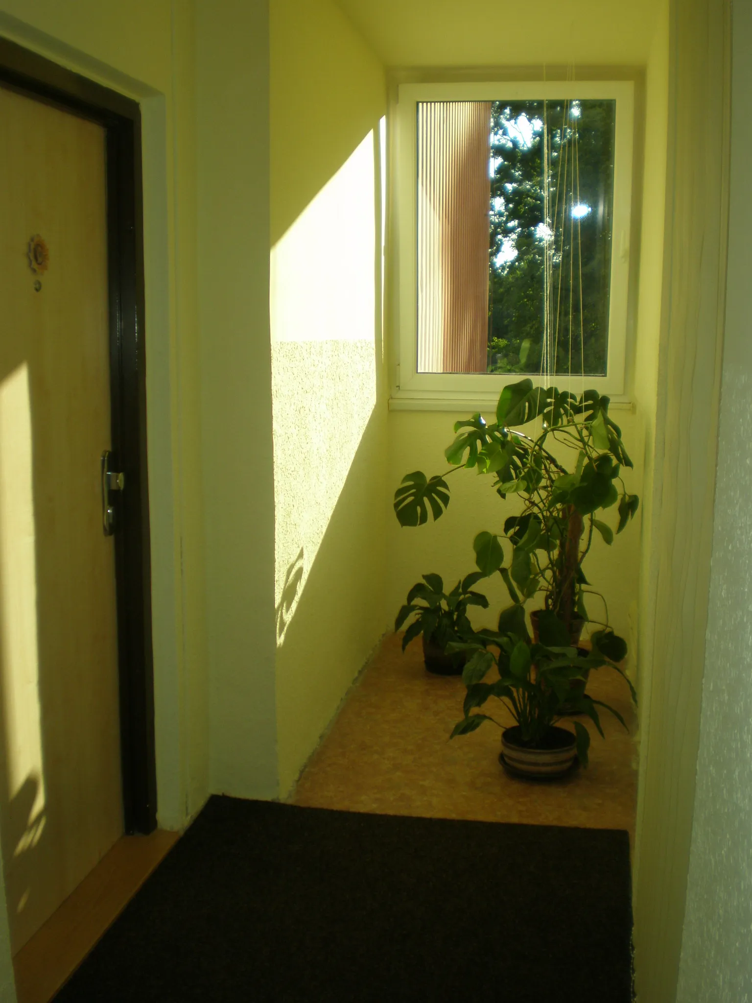 Malířské a natěračské práce | Malířství Makrepa Josef Krejčiřík ukázka práce 5. Fotka