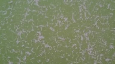 Malířské a natěračské práce | Malířství Makrepa Josef Krejčiřík ukázka práce 2. Fotka