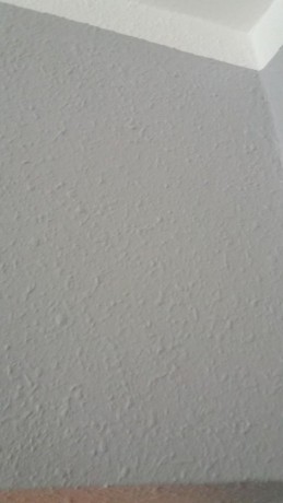 20170123102955