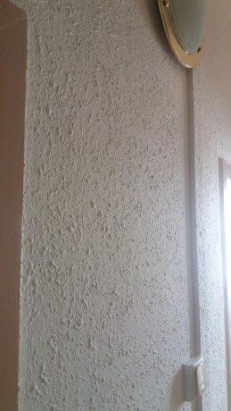 20170206123631